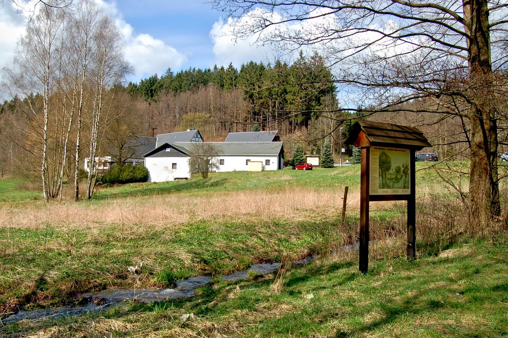 Wiese mit Sternmühle