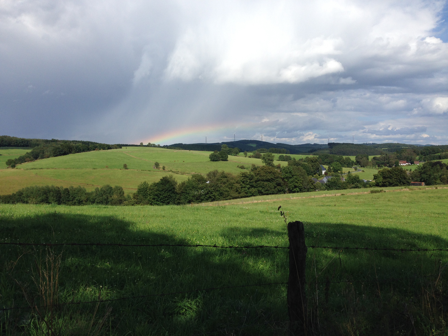 Wiese nach dem Regen