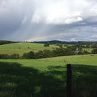 Wiese nach dem Regen