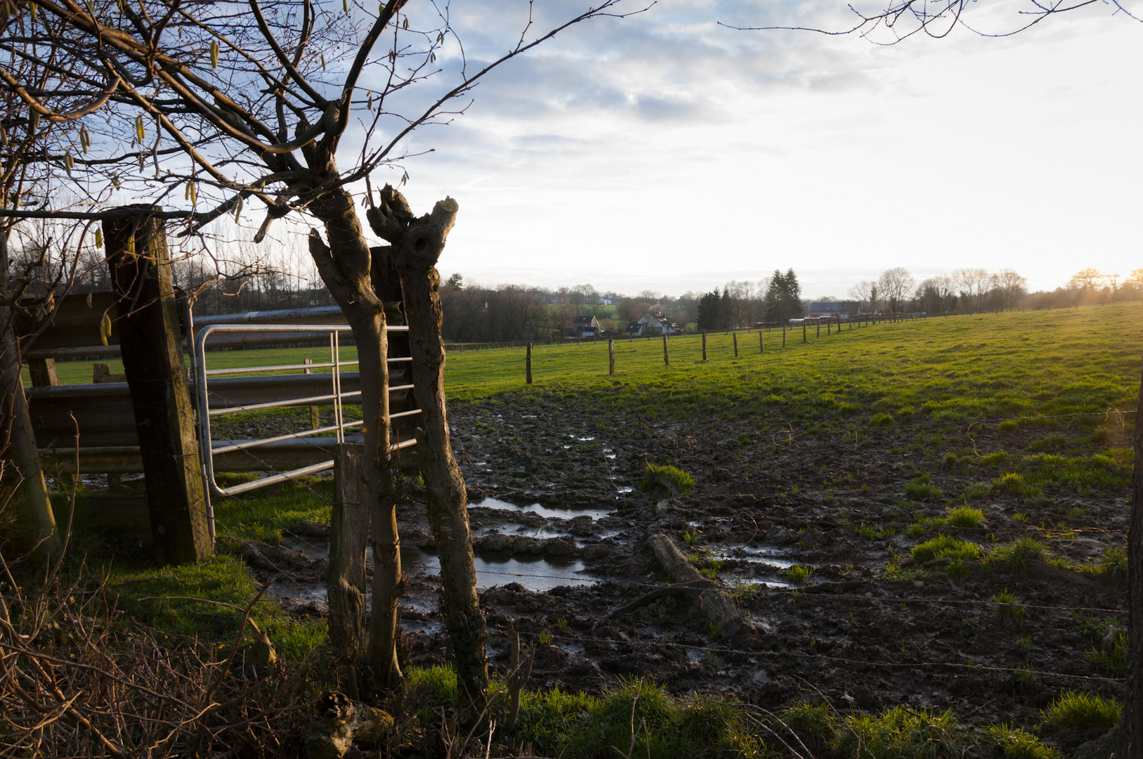 Wiese nahe Kornelimünster