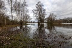 Wiese neben Kleinen Aller 