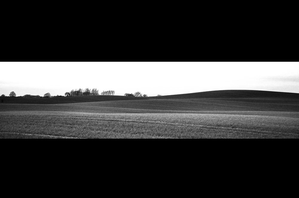 Wiese schwarz/weiß Foto & Bild | landschaft, Äcker, felder & wiesen