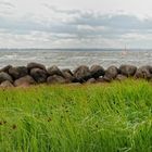 Wiese, Steine, Meer und Himmel