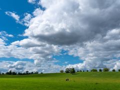 Wiese und Himmel