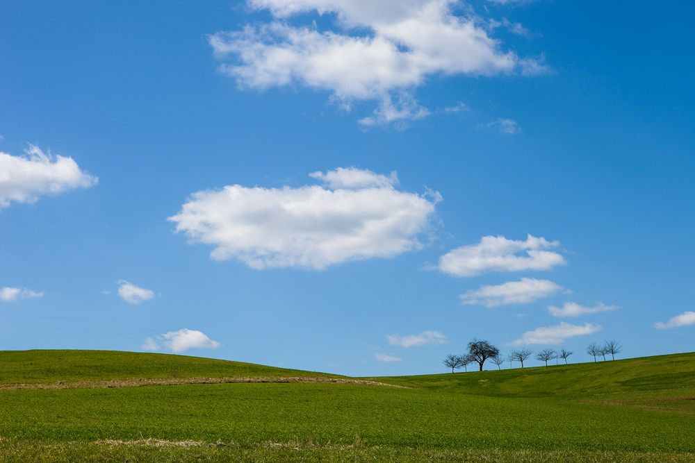 Wiese und Himmel