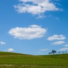 Wiese und Himmel