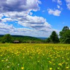 Wiese und Himmel