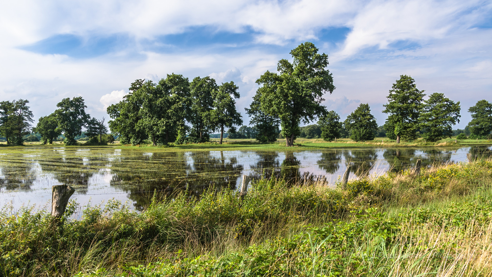 Wiese unter Wasser