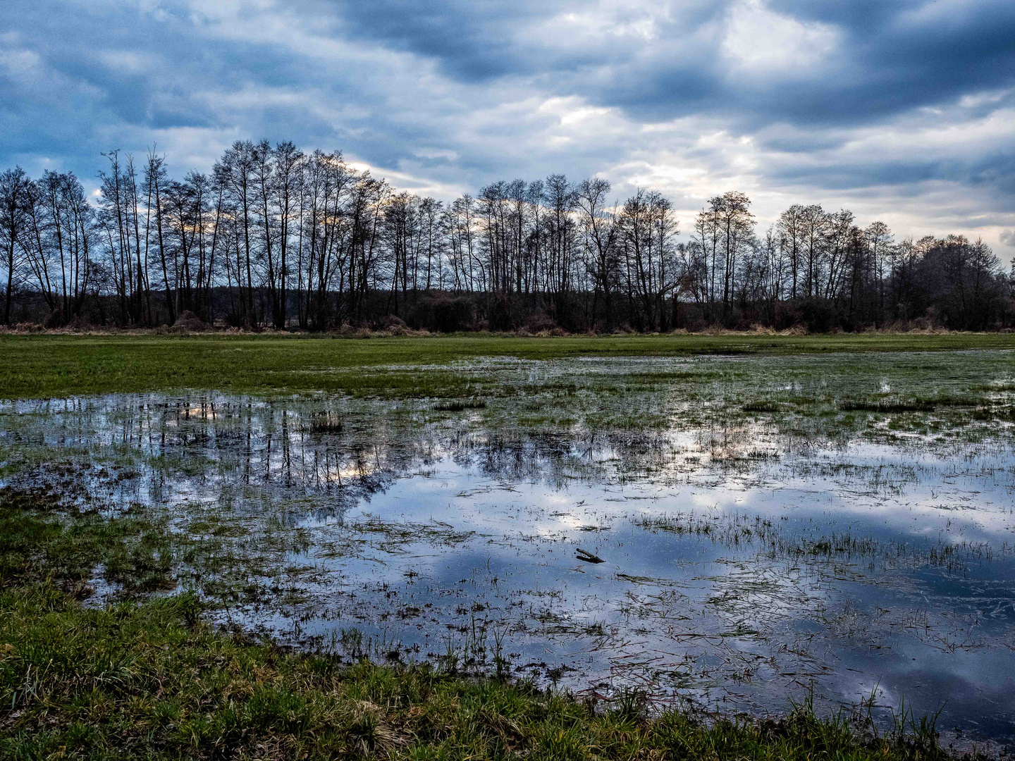 Wiese unter Wasser