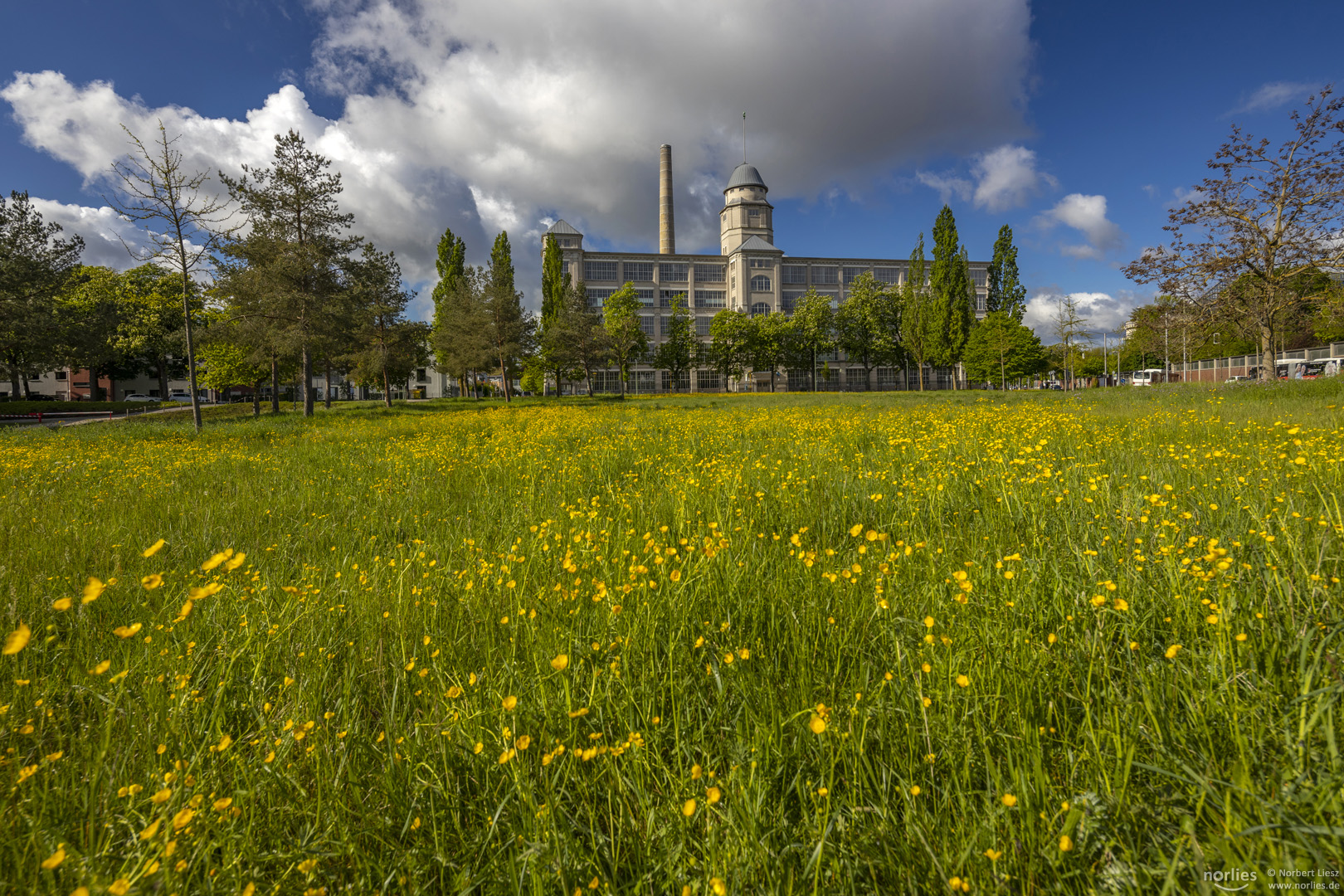 Wiese vor dem Glaspalast