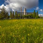 Wiese vor dem Glaspalast