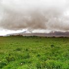 Wiese vorm Chimborazo