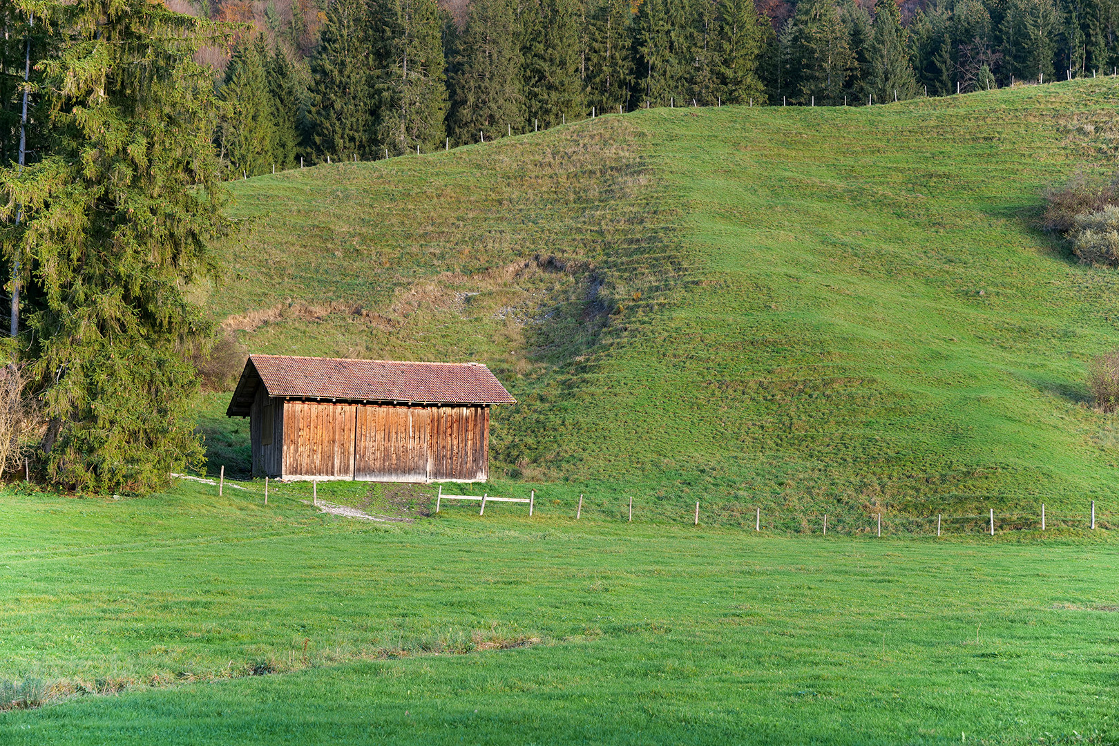 Wiese-Wald-Hütte