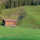 Wiese-Wald-Hütte