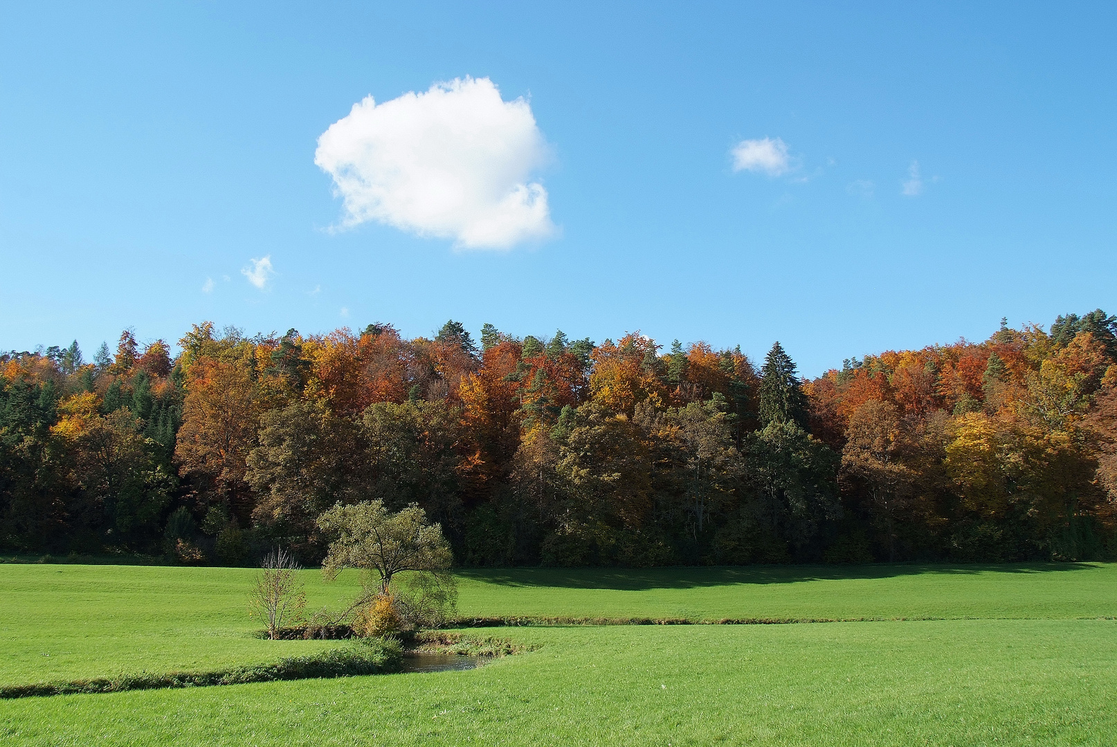 Wiese Wald und Himmel