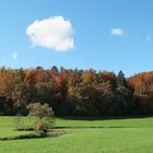 Wiese Wald und Himmel