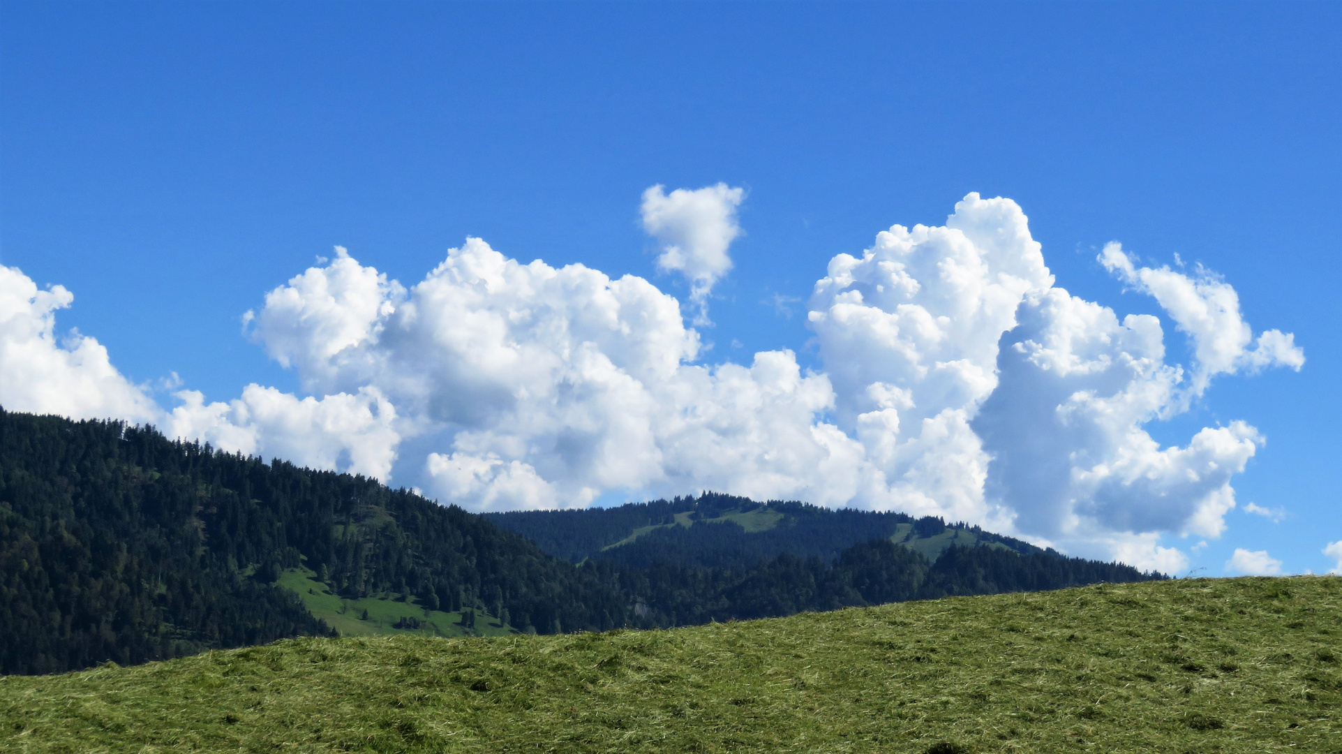 Wiese, Wald und Wolken