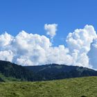 Wiese, Wald und Wolken