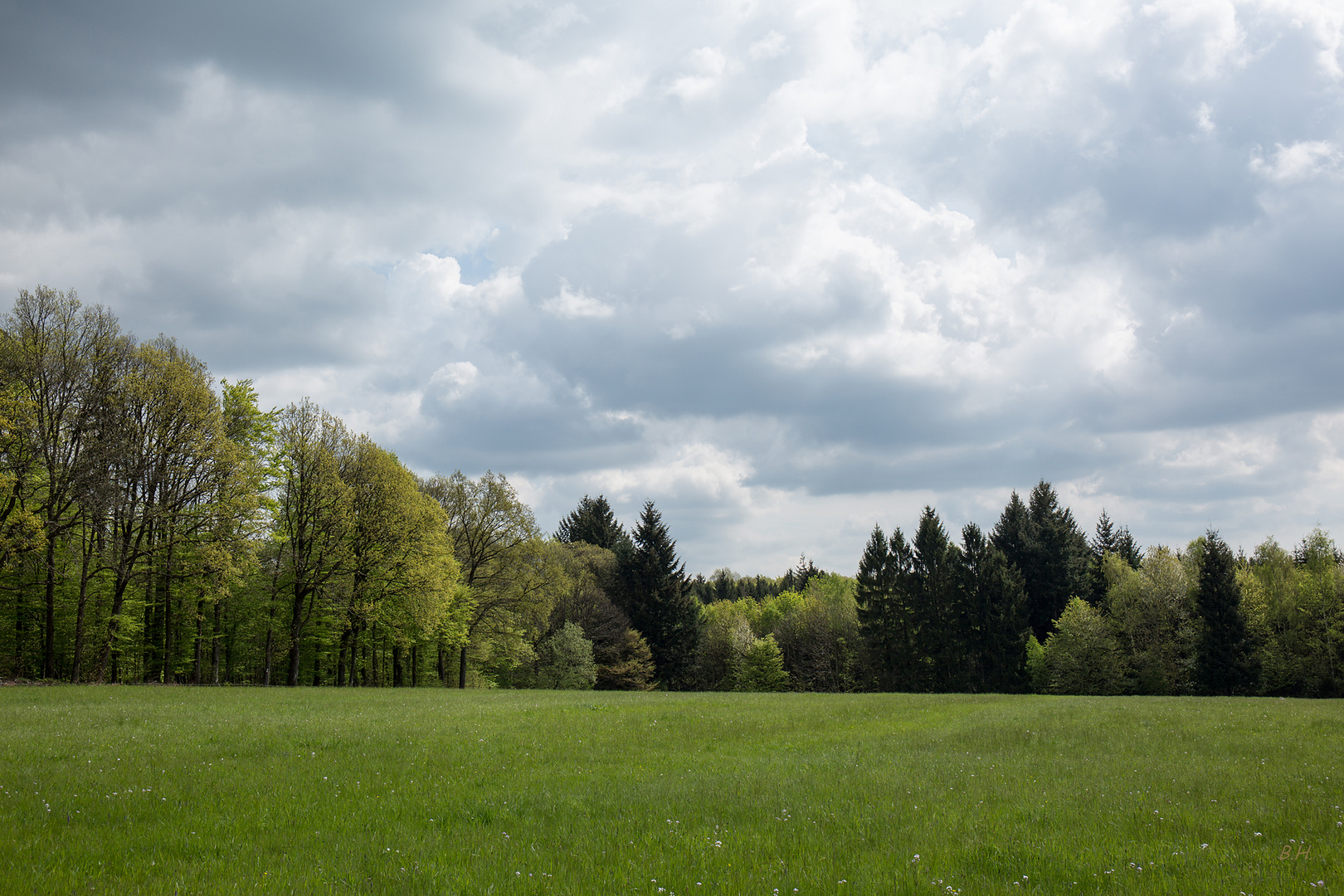 Wiese Wald Wolken