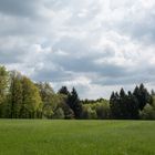 Wiese Wald Wolken