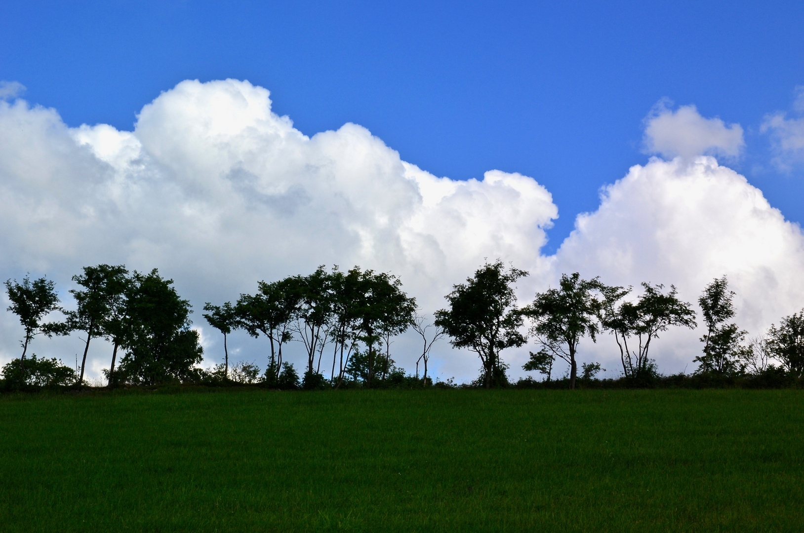 Wiese – Waldrand – Wolken …