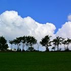 Wiese – Waldrand – Wolken …