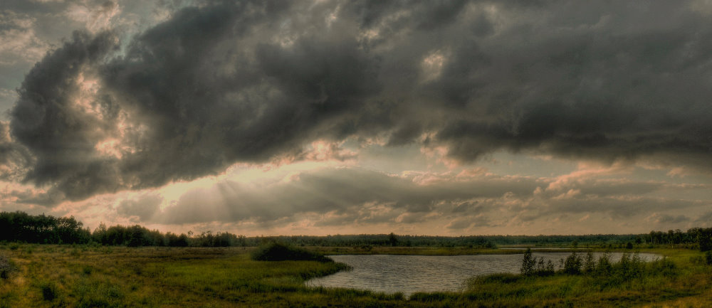 Wiese, Wasser; Wolken