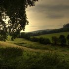 Wiese zwischen Sickte und Schöppenstedt - reitlingstal