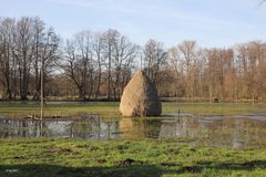 Wiesen