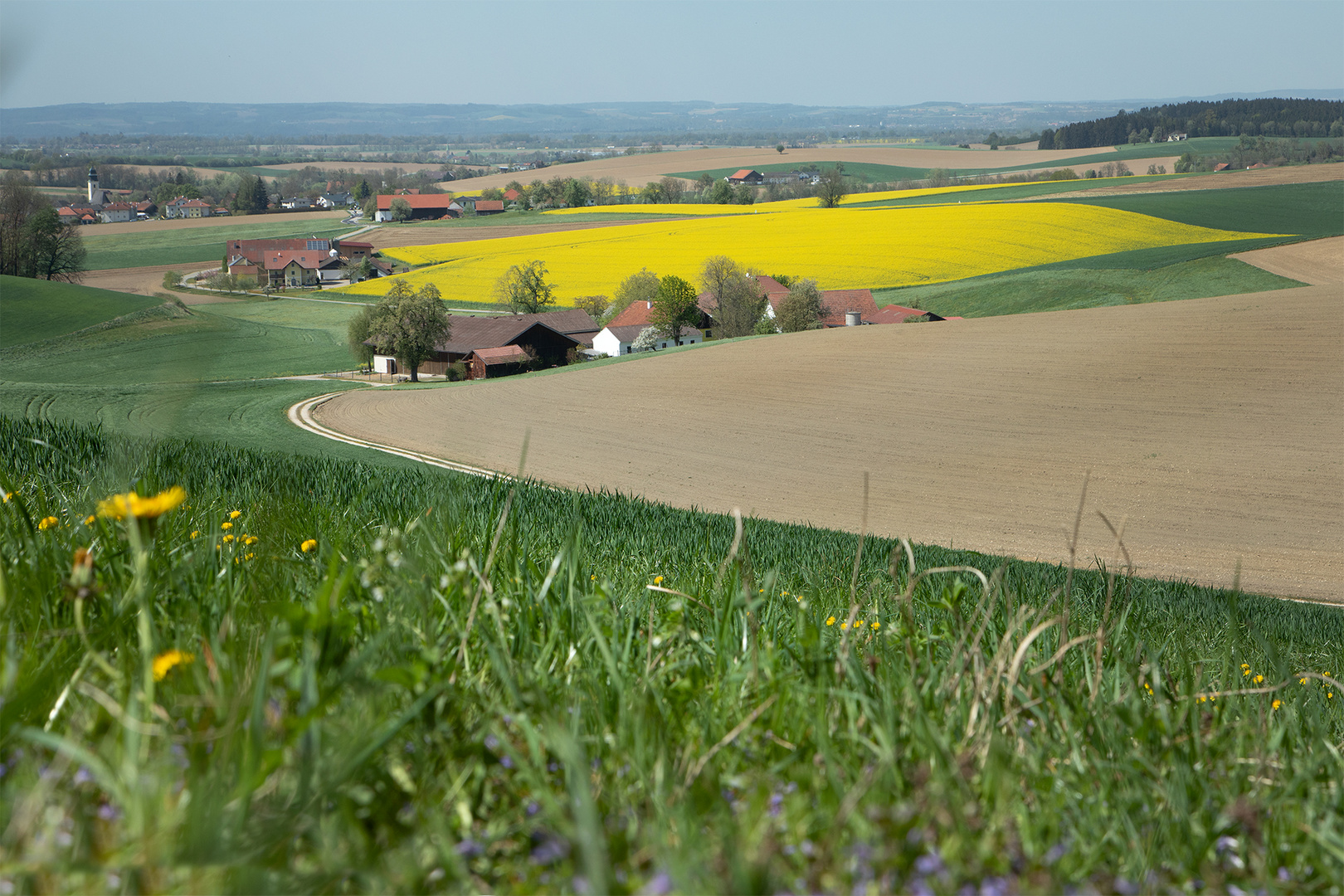 Wiesen, Äcker und Felder 