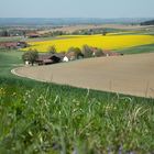 Wiesen, Äcker und Felder 