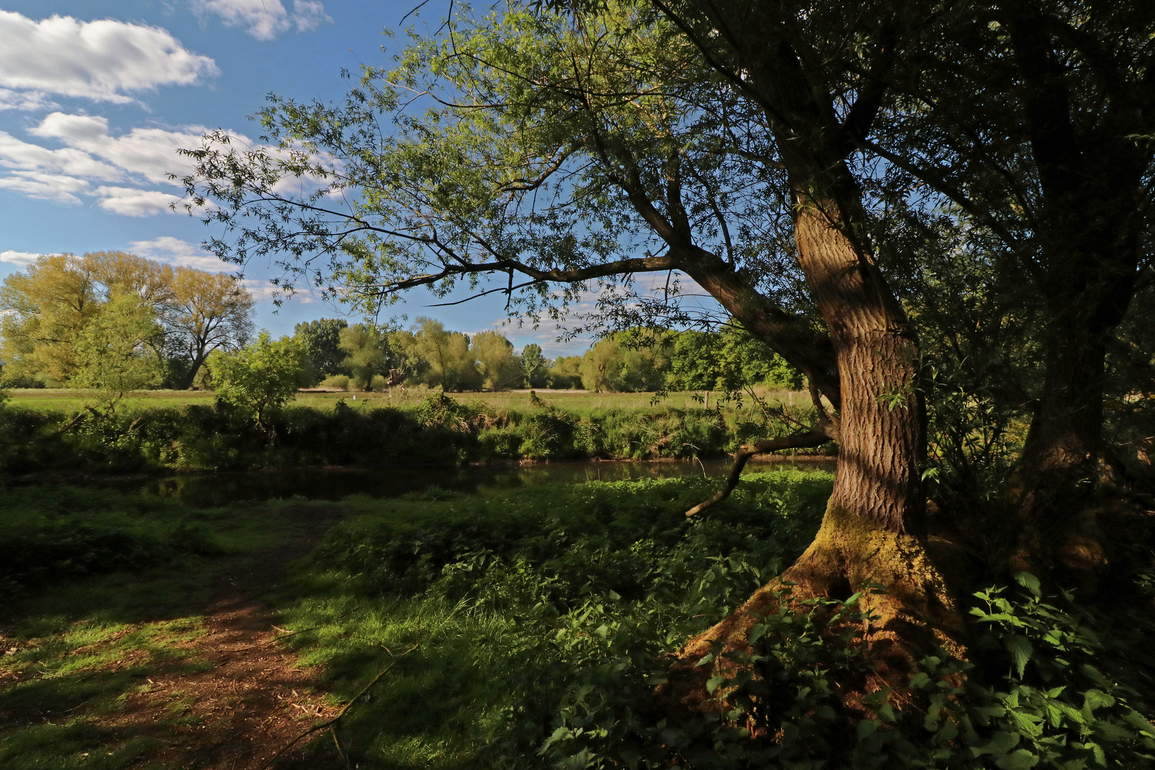 Wiesen am Fluss Foto & Bild landschaften, wasser, bäume Bilder auf