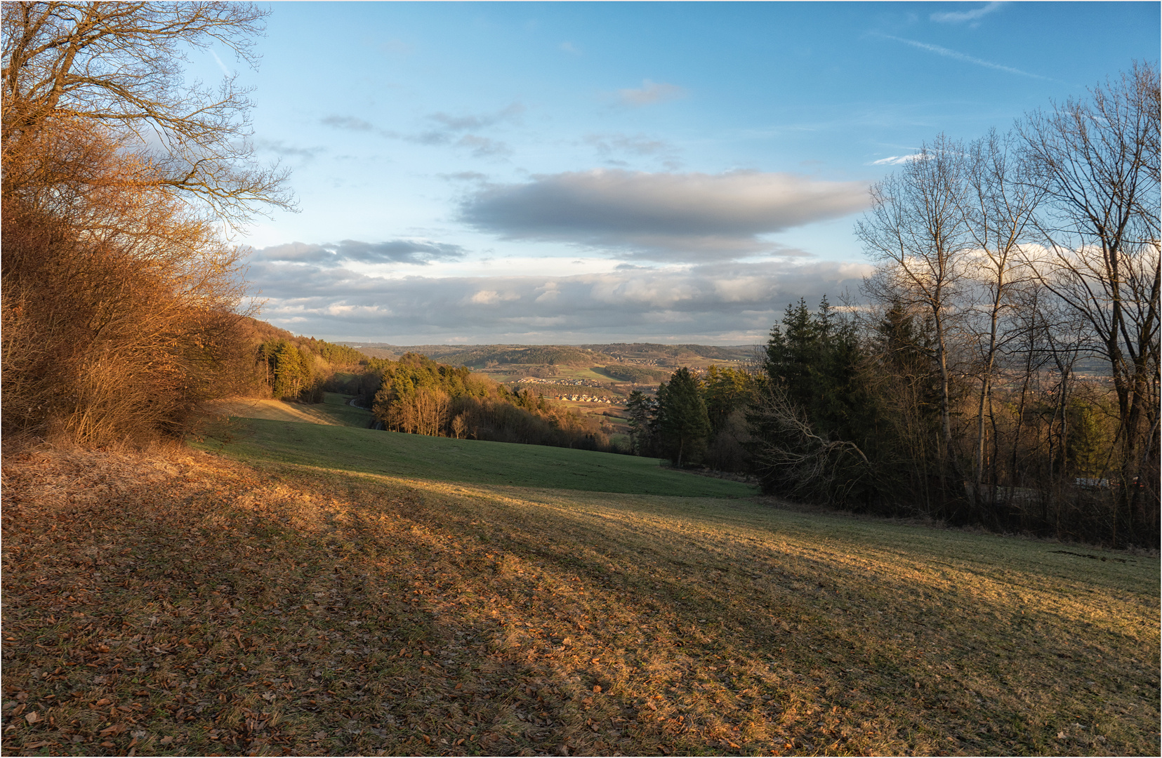 Wiesen am Lindelberg