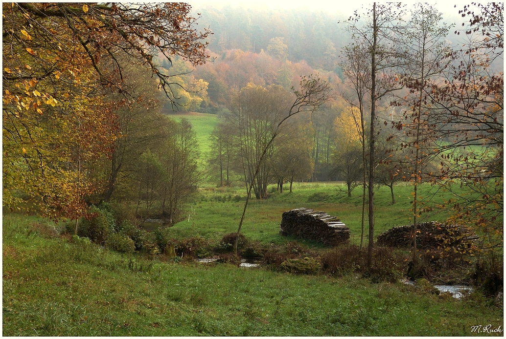 Wiesen Auen Landschaft im Herbst ,