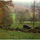 Wiesen Auen Landschaft im Herbst ,