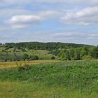 Wiesen der Rhön: Blütenmeer für viele 04