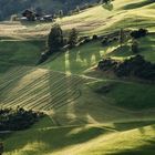 Wiesen im Abendlicht