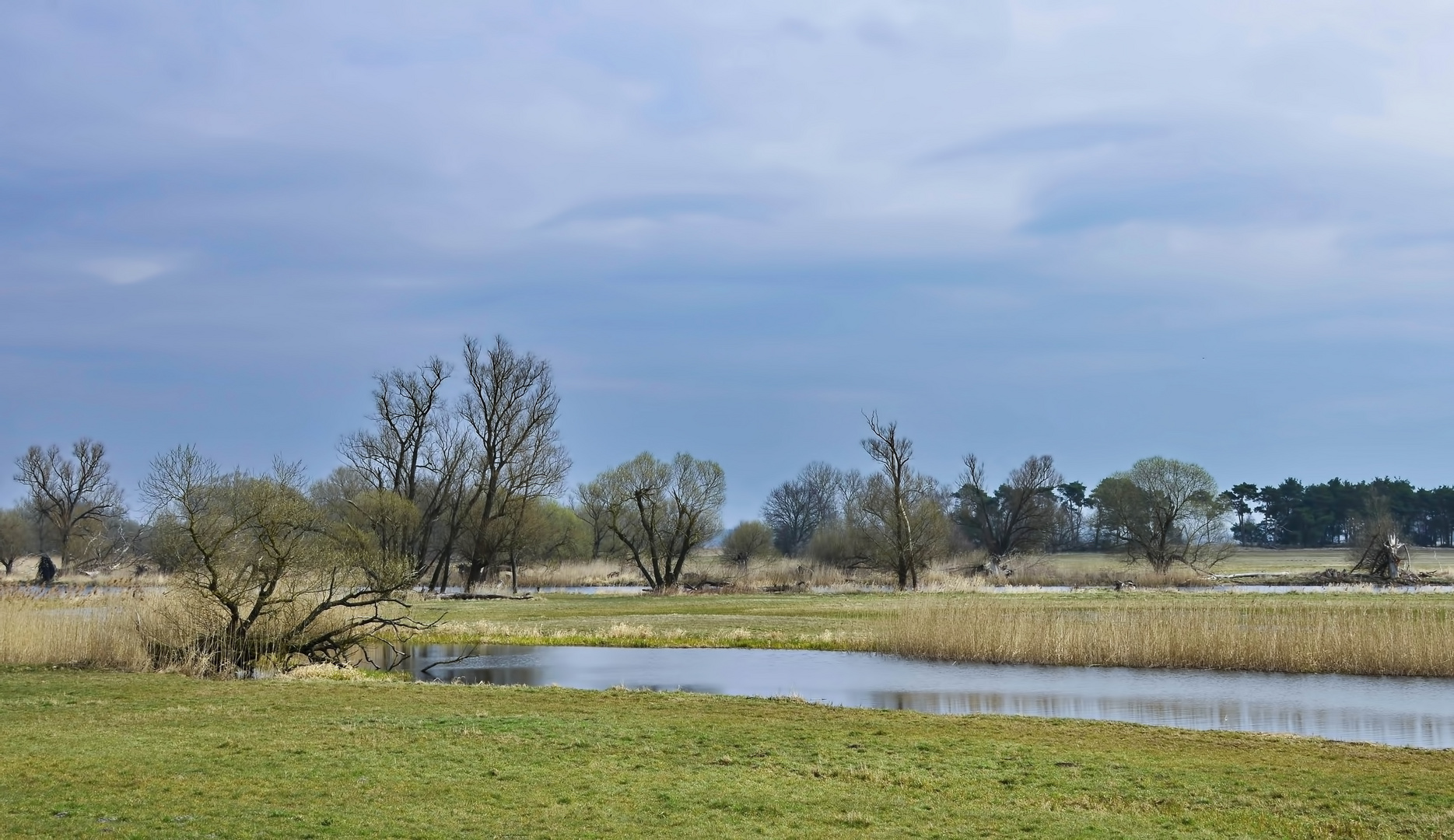 °Wiesen im Havelland°