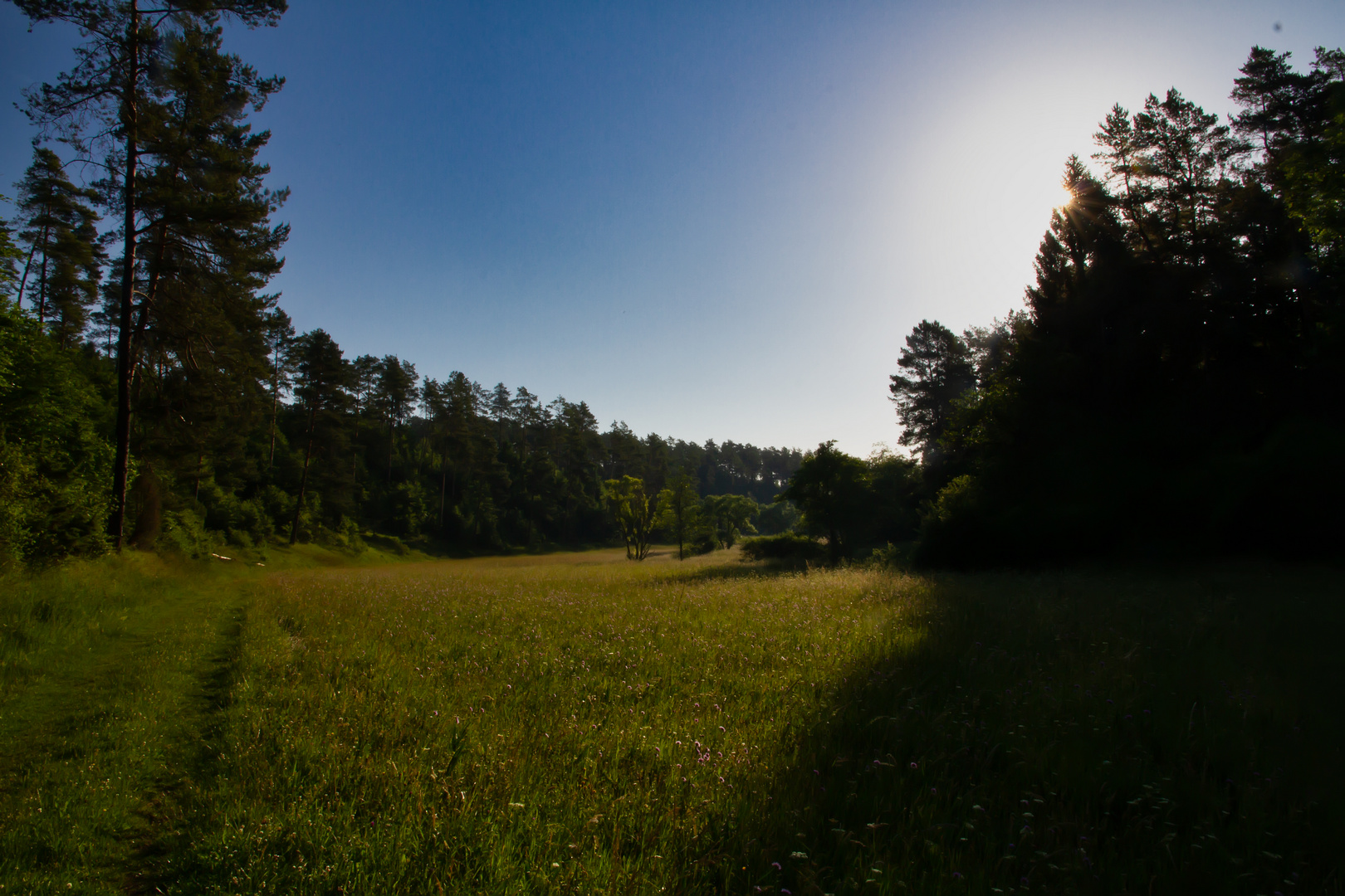 Wiesen im Lamperstal