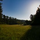 Wiesen im Lamperstal