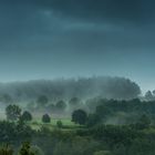 Wiesen im Morgennebel