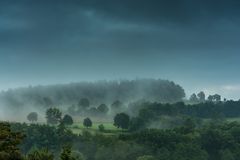 Wiesen im Morgennebel