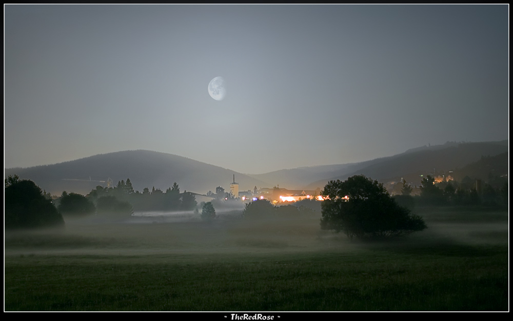 Wiesen im Nebel