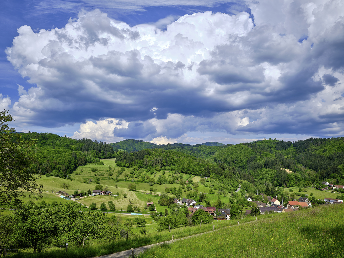 Wiesen im Schwarzwald