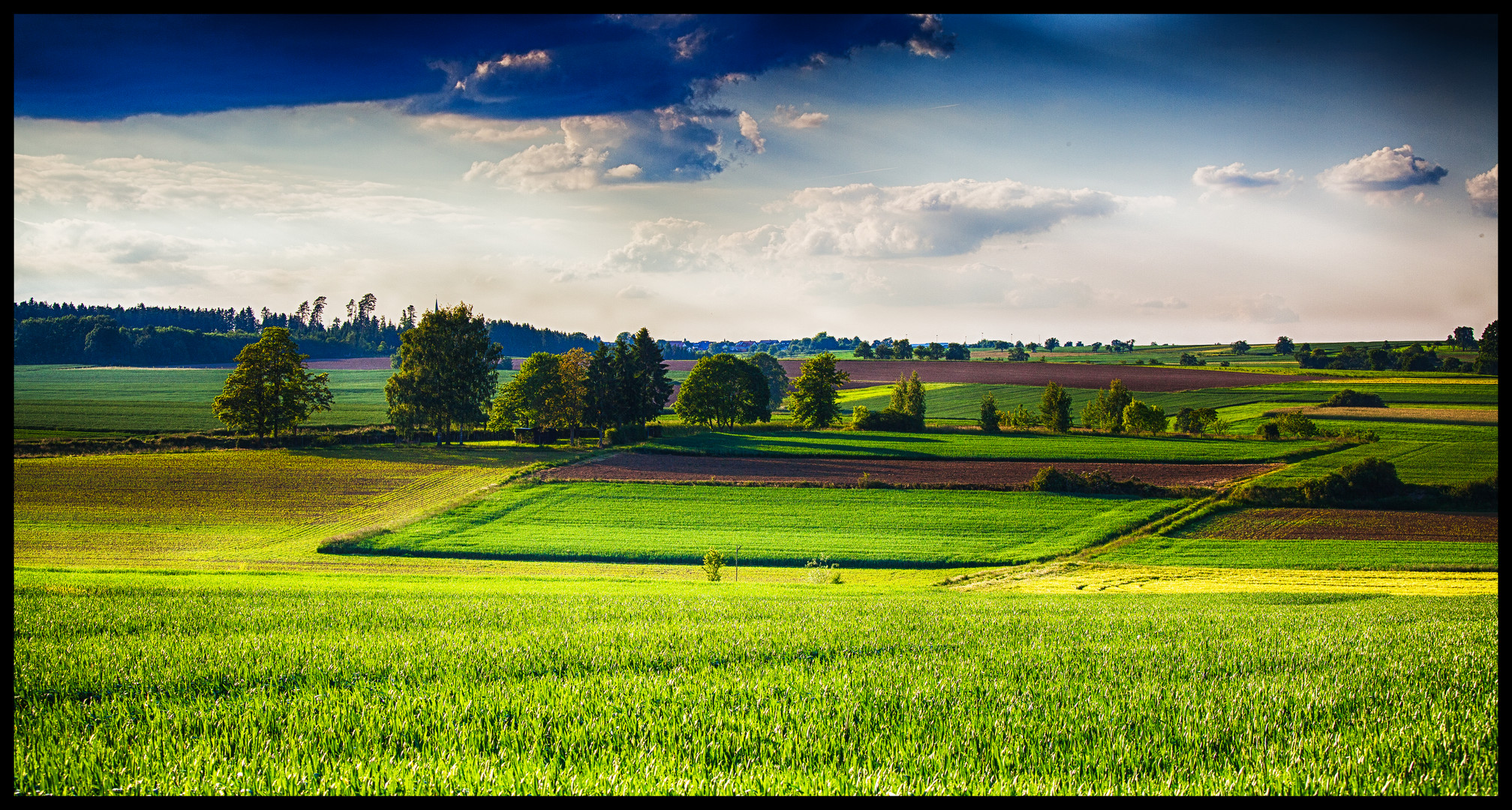 Wiesen in der frühen Abendsonne