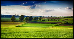 Wiesen in der frühen Abendsonne