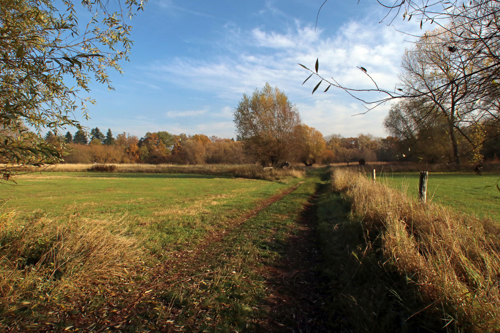 Wiesen in der Okeraue