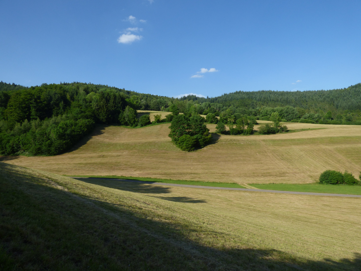 Wiesen nach dem Heuen