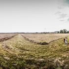 Wiesen-Panorama