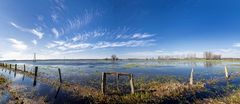 Wiesen-Panorama !